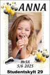 Skylt 29