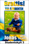 Skylt-3