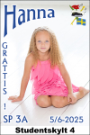 Skylt-4